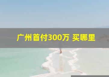 广州首付300万 买哪里